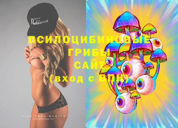 дживик Козловка