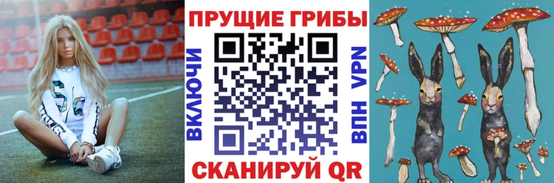 Псилоцибиновые грибы ЛСД Купить Печора