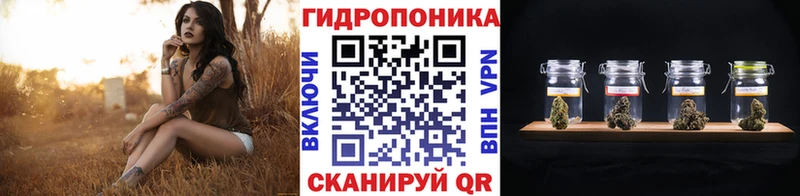 Бошки марихуана планчик  Купить  Печора 